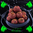 Nature Insect Sonderklasse Boilie